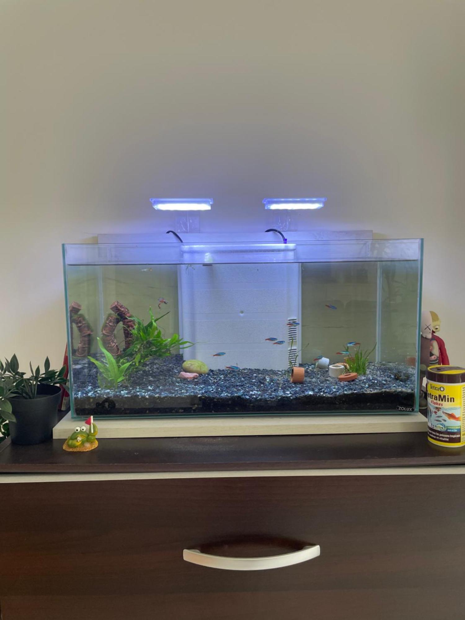 Appartement De Luca Saint-André-de-Cubzac 外观 照片